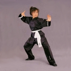 Униформа "Kung Fu, вырез в китайском стиле"